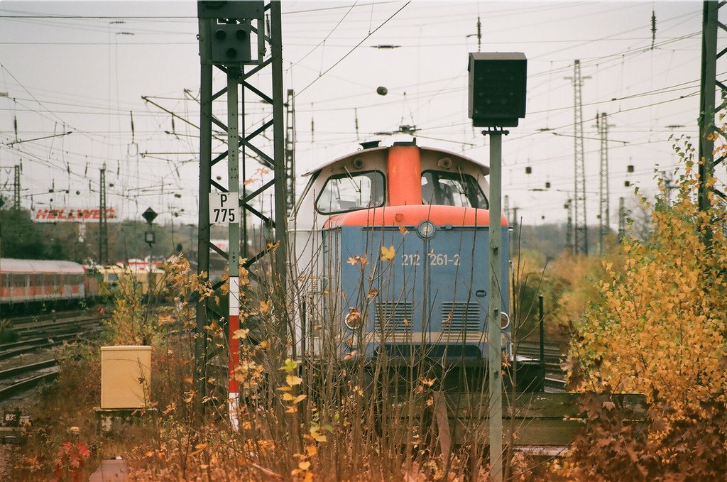 212 261-2