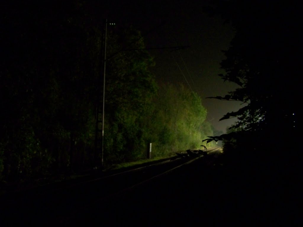 Bahnübergang | Gleise (Richtung Bad Salzuflen) .. 13.10.2010 | 20:29 Uhr