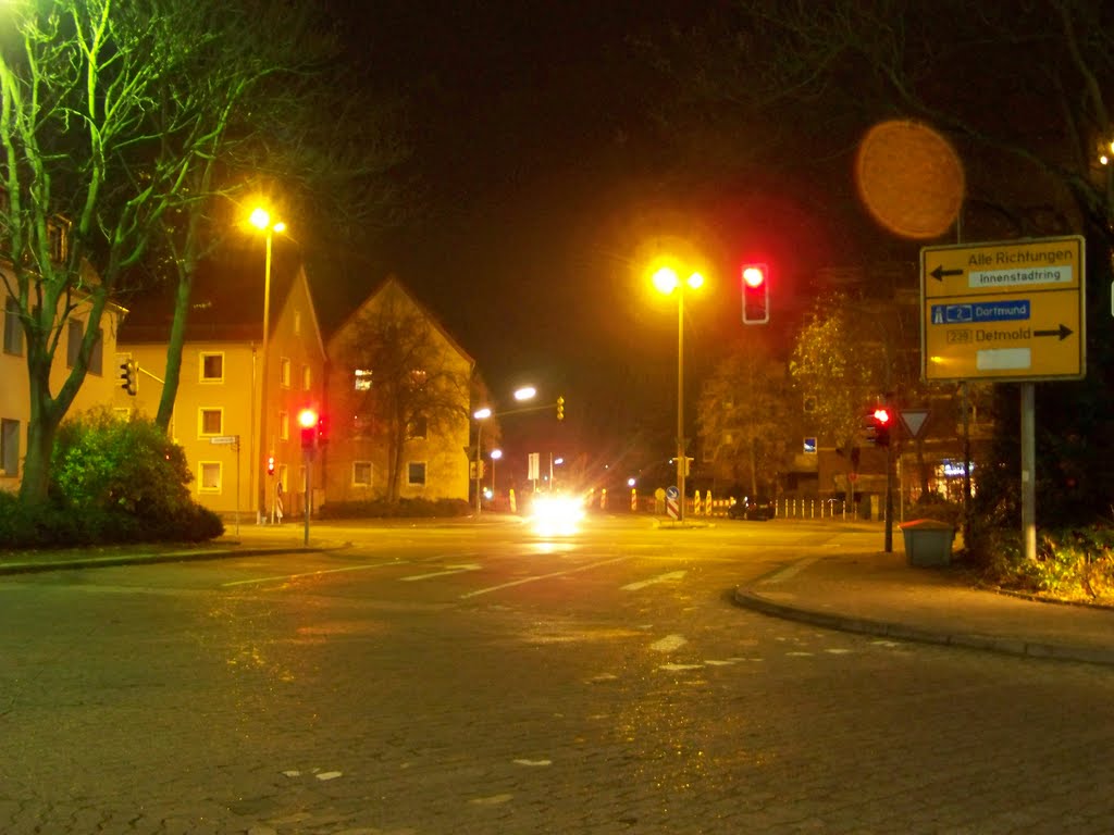 Martinsgang + Tribenstrasse + Wiesestrasse + Johannisstrasse ... 18.11.2010