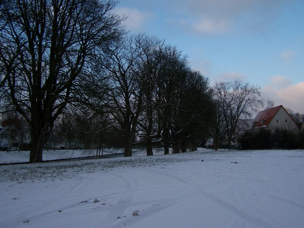 Werre am Quentinufer ... 15.12.2010