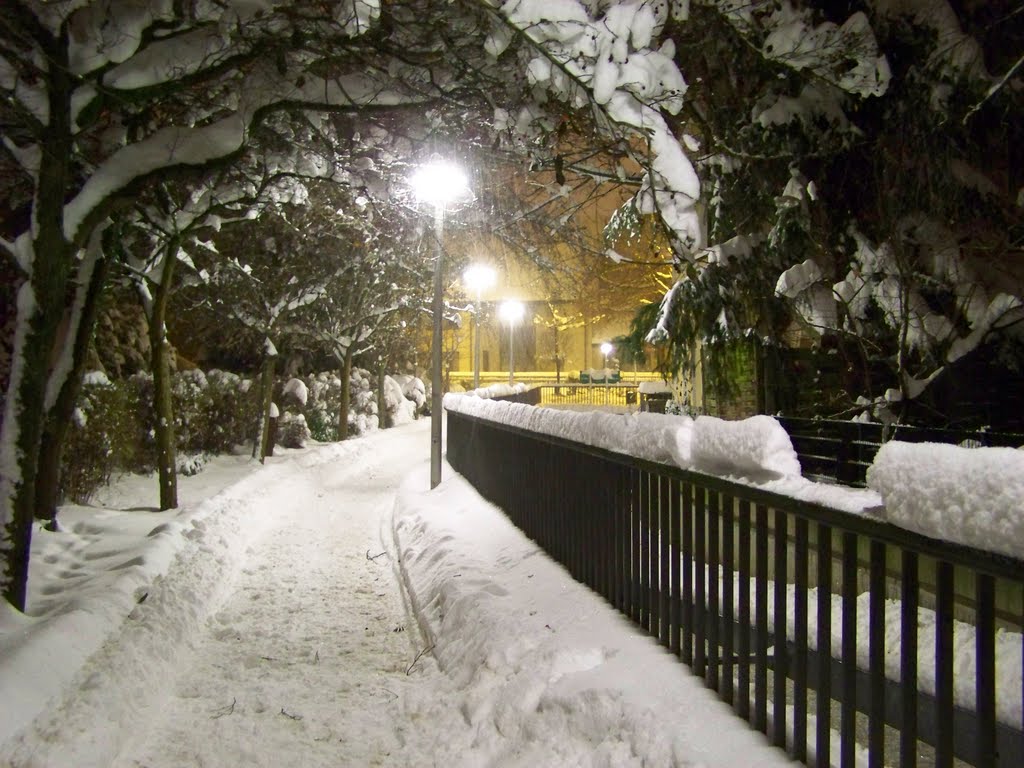 Weg ... 26.12.2010
