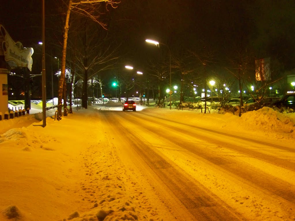Wiesestrasse am H2O ......... 26.12.2010