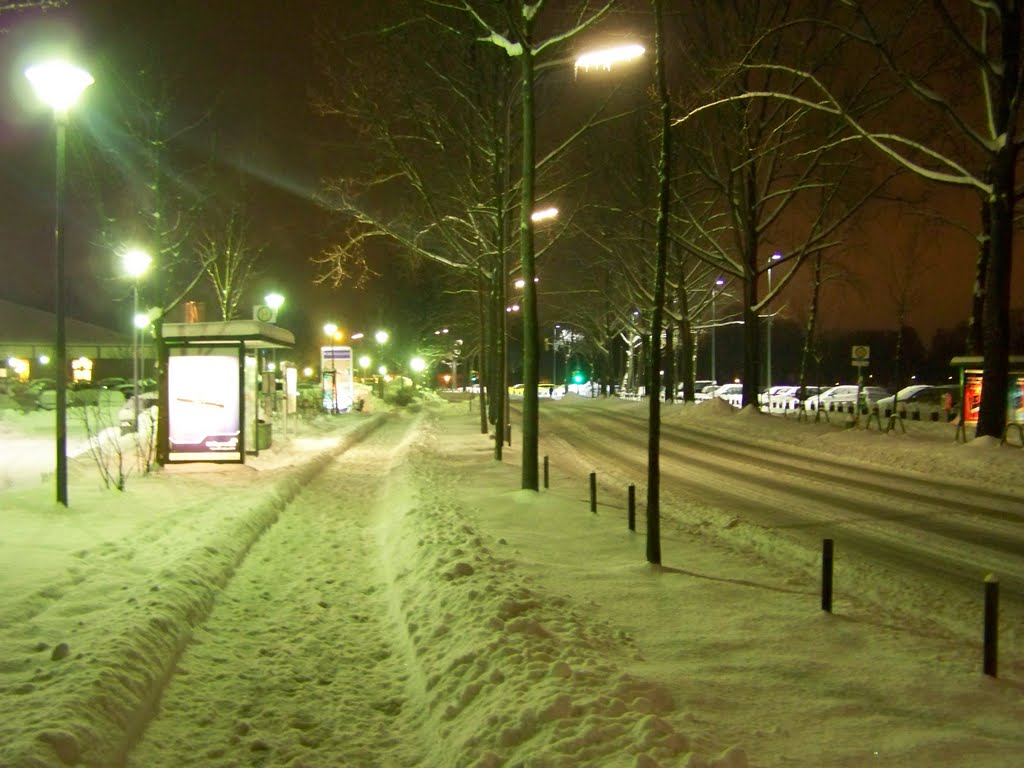 Wiesestrasse (Richtung H2O) .. 26.12.2010