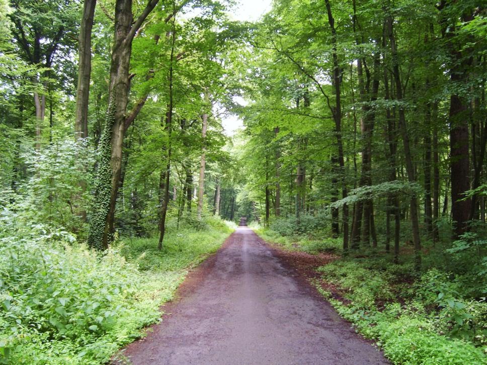 Mutter Möller Weg im Sommer