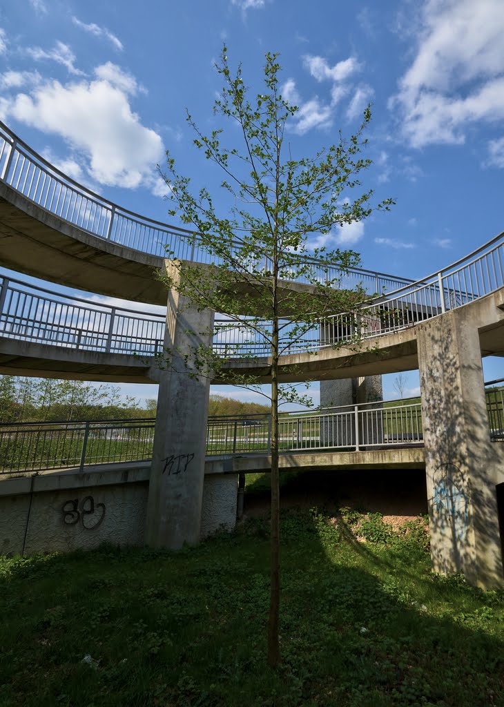 Senkrechtpanorama eingesperrter Baum im Kreisel der Brücke