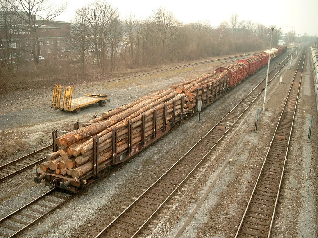 Rails #3