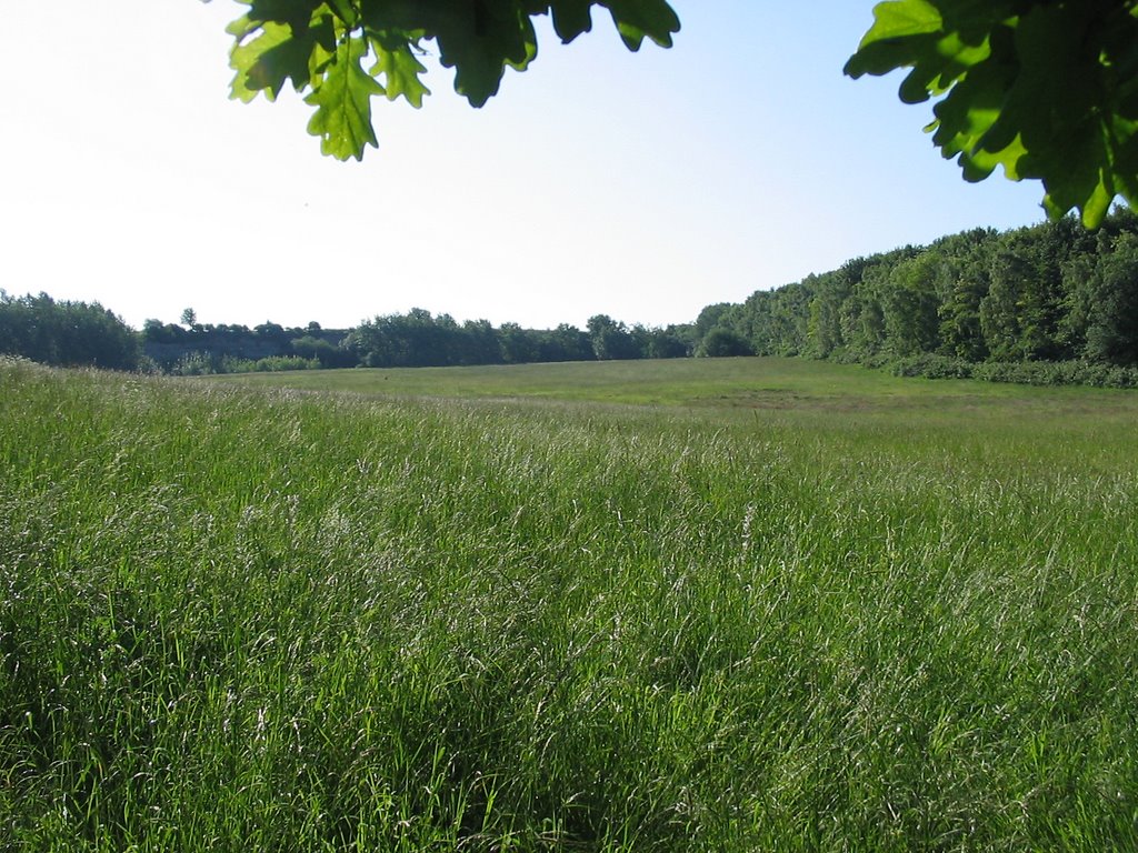 Ausblick in die Steinkuhle II