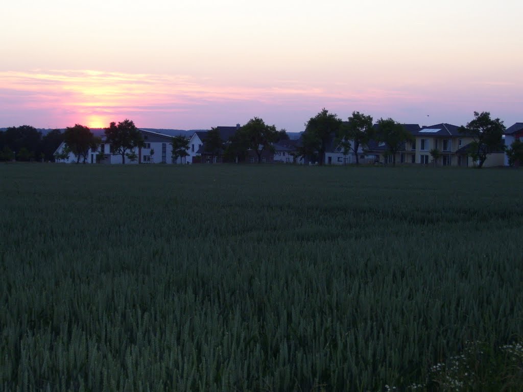 Sonnenuntergang Pflaumallee Sommer 2010