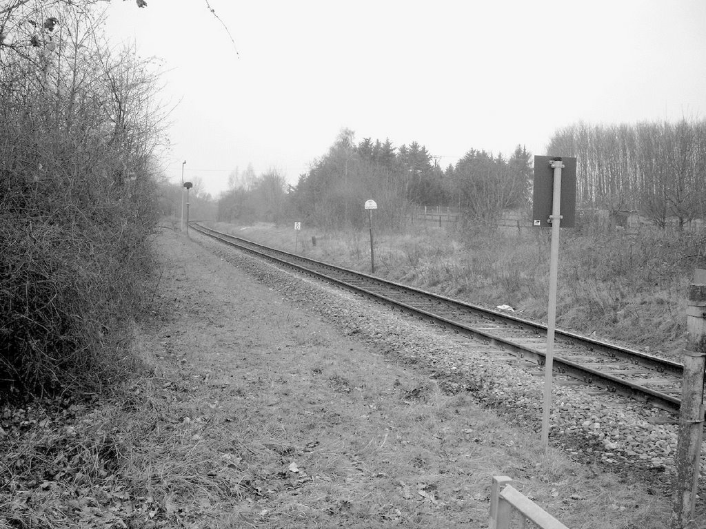 Rails #2