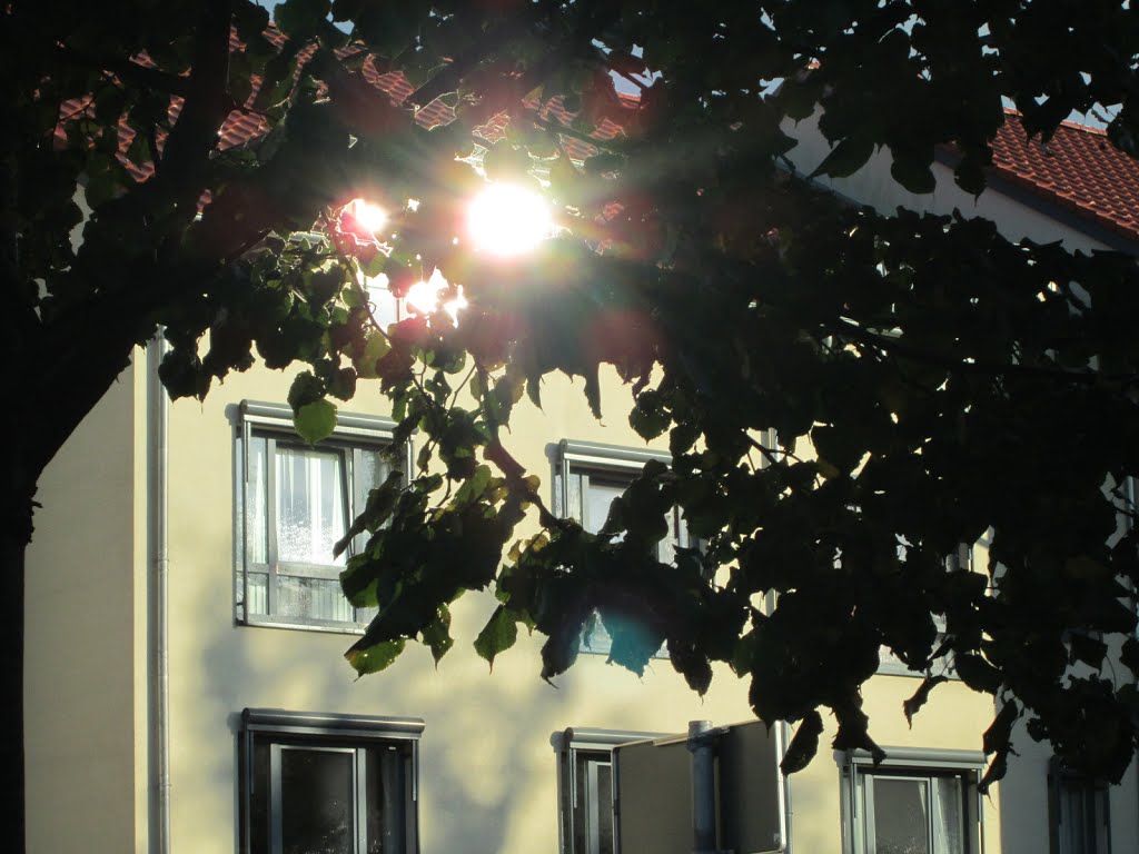 Beckum