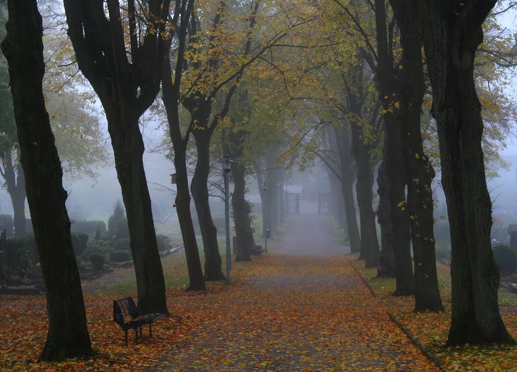 Beckum, Parkfriedhof im November
