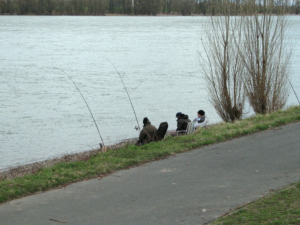 Angler am Urfelder Rheinufer