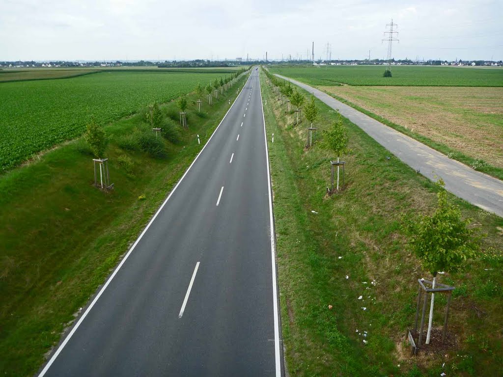Libur nach Lülsdorf