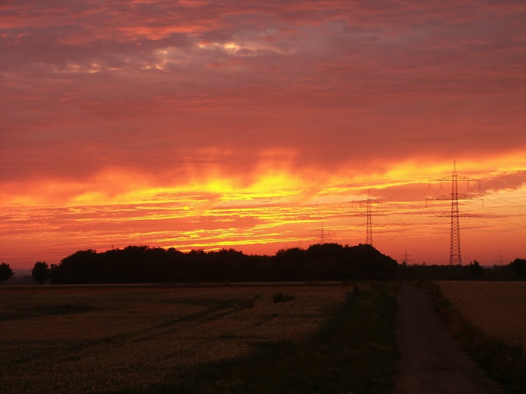Morgenglühen by Niederkasseler