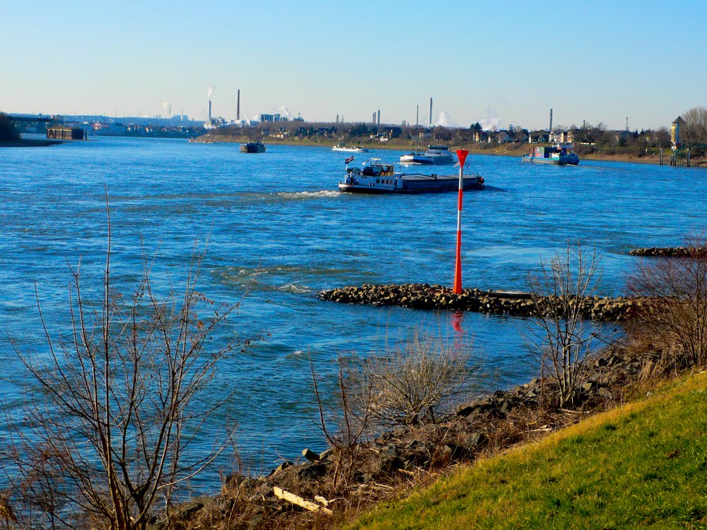Rhein bei Niederkassel ...