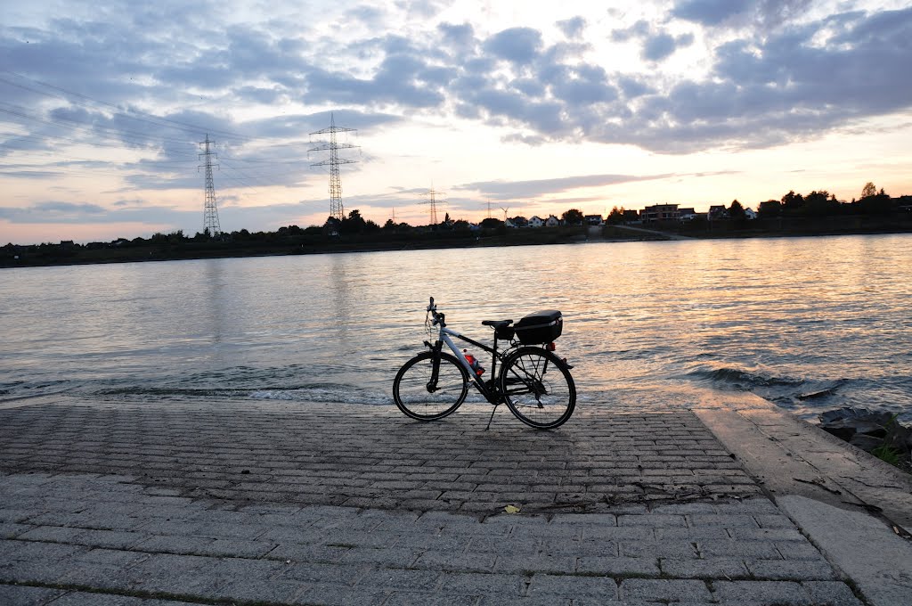 Rhein - Impressionen nahe "Niederkassel / Rhein". Abgelichtet im September 2012