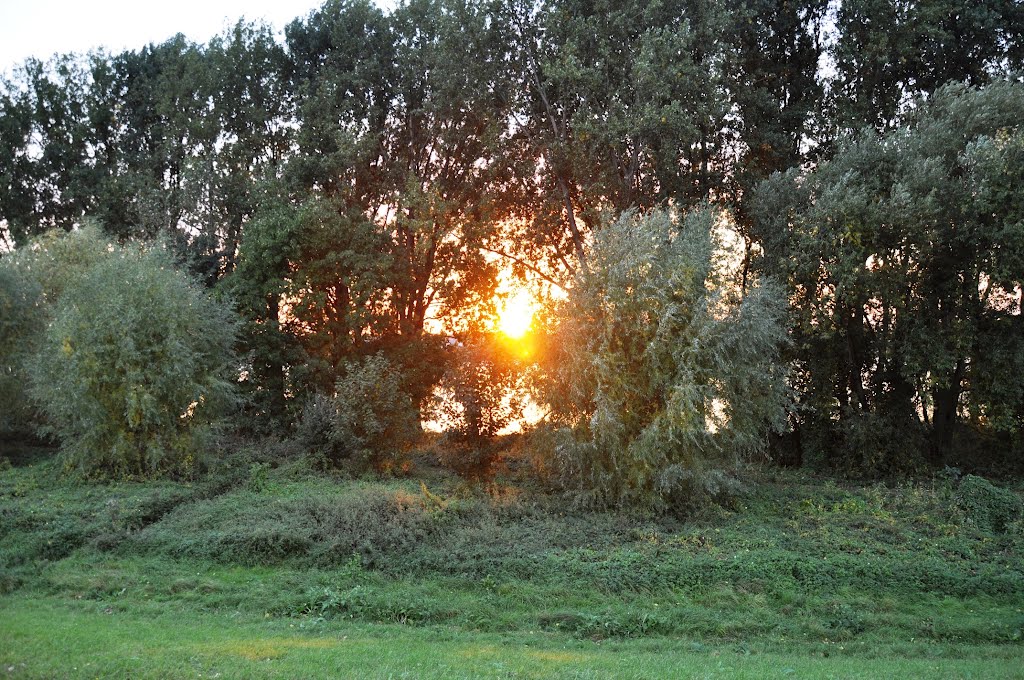 Rhein - Impressionen im September 2012