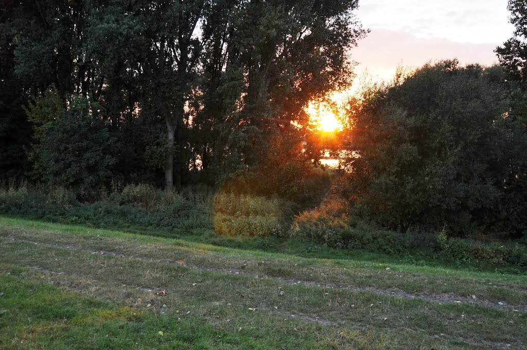 Rhein - Impressionen im September 2012