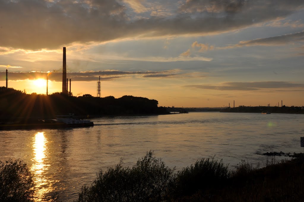 "Shell" / Wesseling am Rhein. Abgelichtet im September 2012