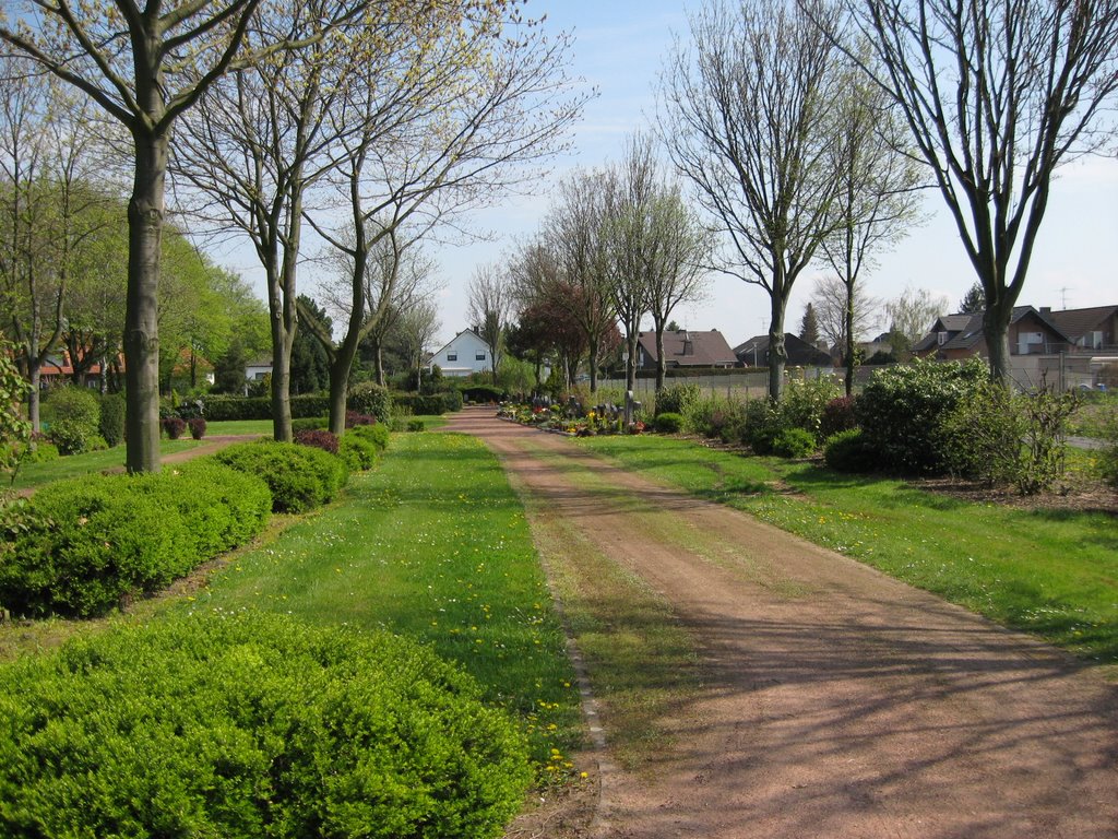 Friedhof-04