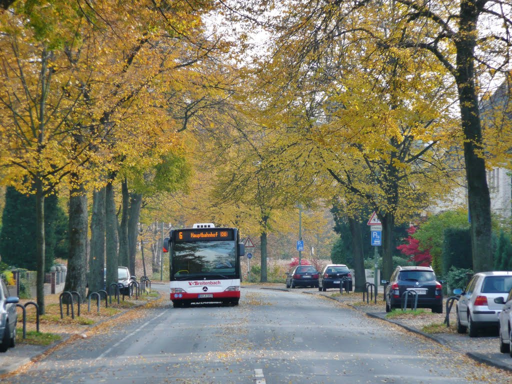Marker Allee