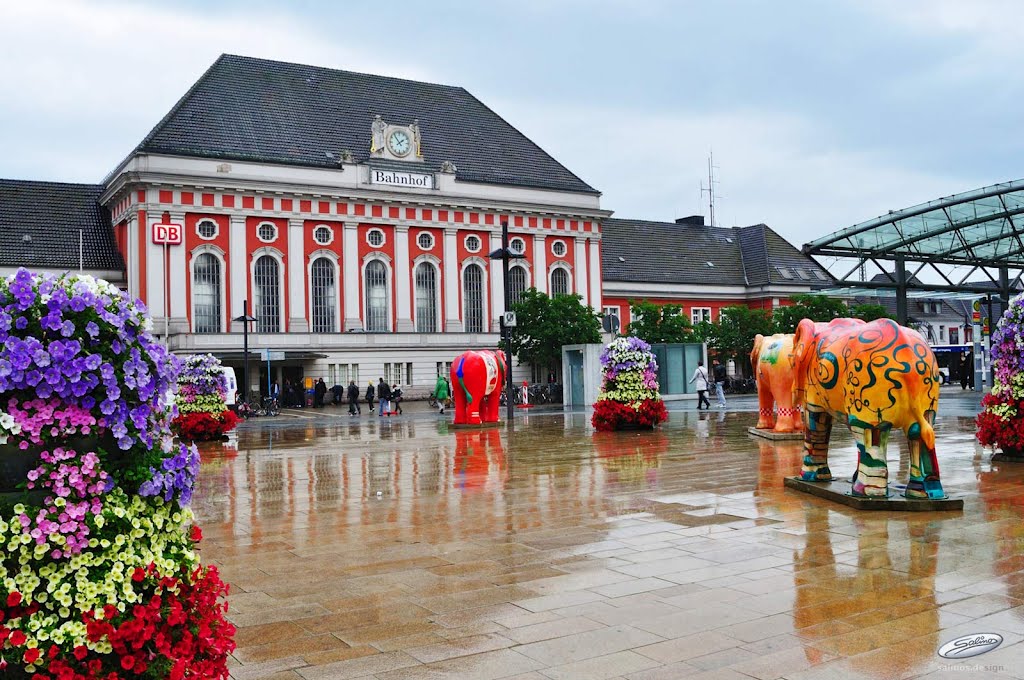 Elefantenwanderung zum Bahnhof Hamm - (C) by Salinos_de NW
