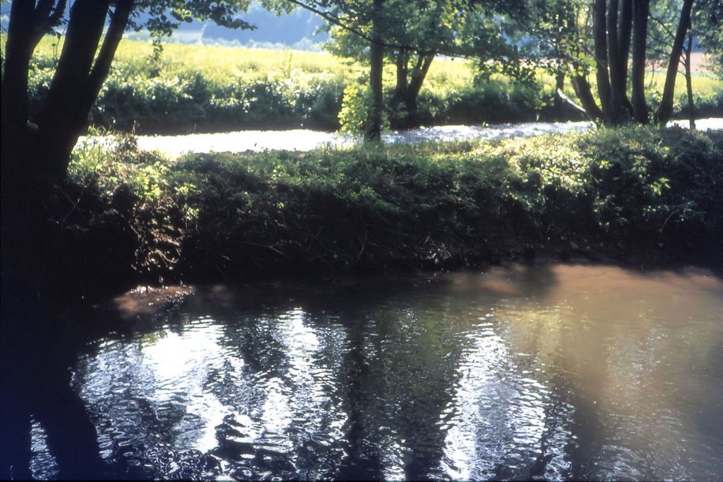 Fränkischen Saale 1988