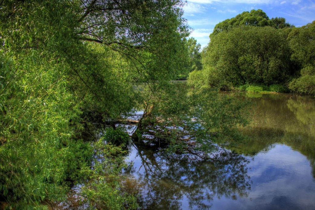 An der Fulda