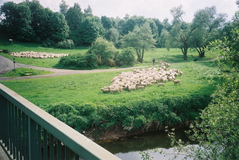 Bad Hersfeld, Fuldaaue