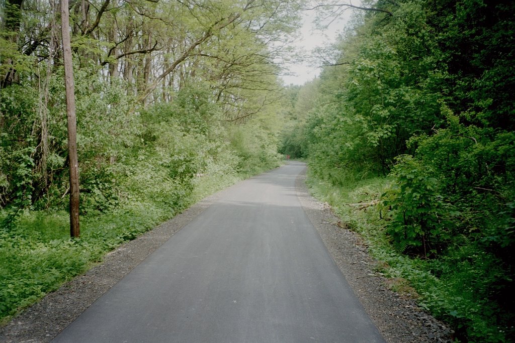 Radweg auf der Trasse der ehemaligen Hersfelder Eisenbahn