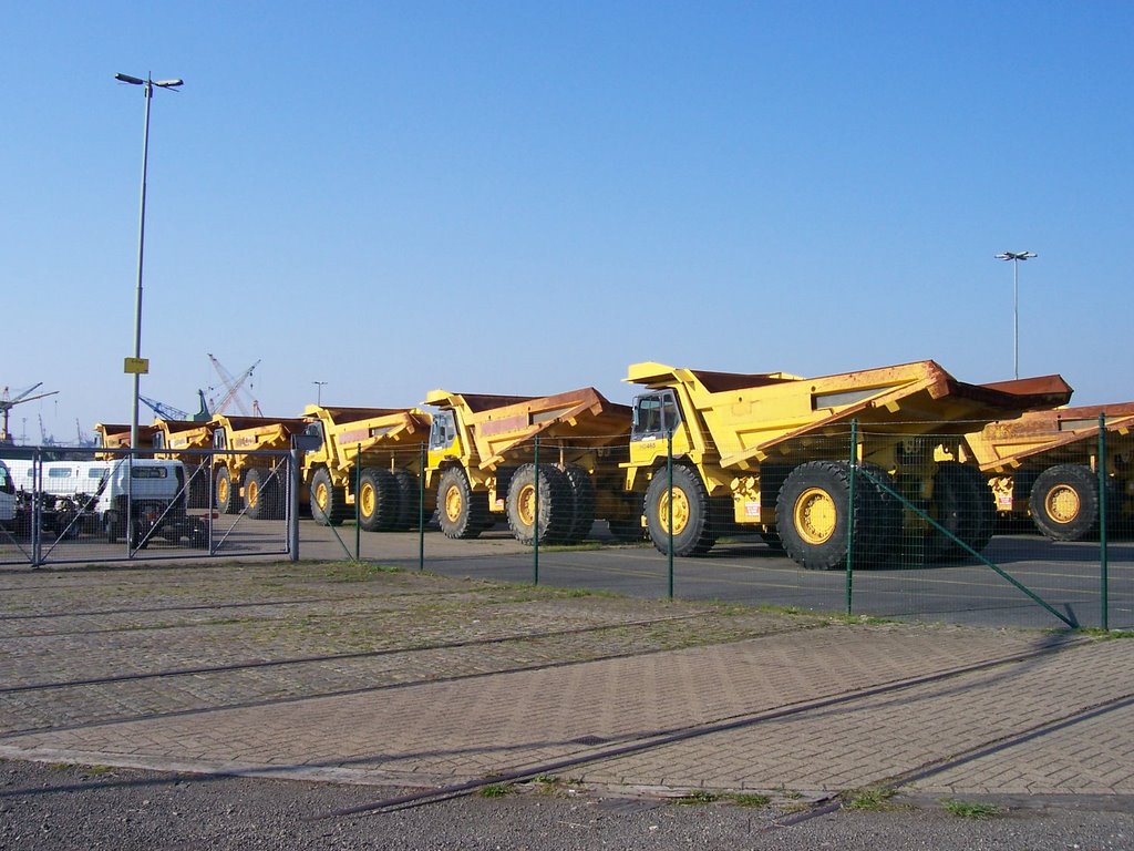 Import/Export