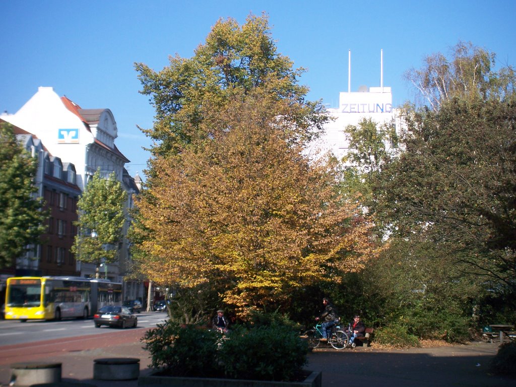 Nordseezeitung