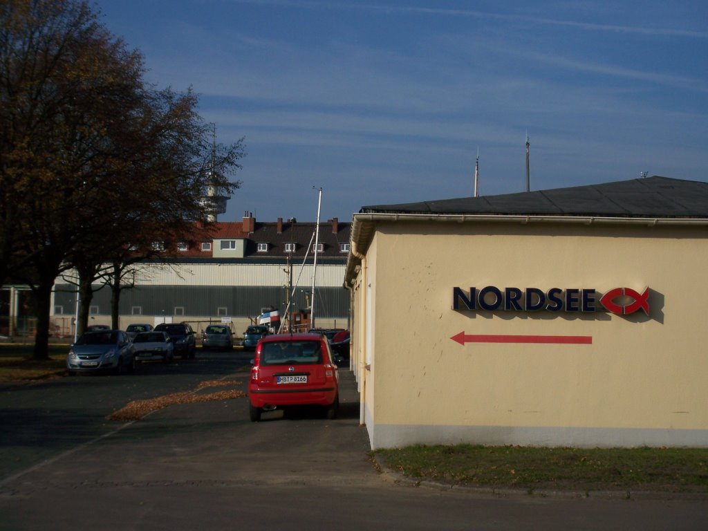 Die Richtung stimmt ungefähr.