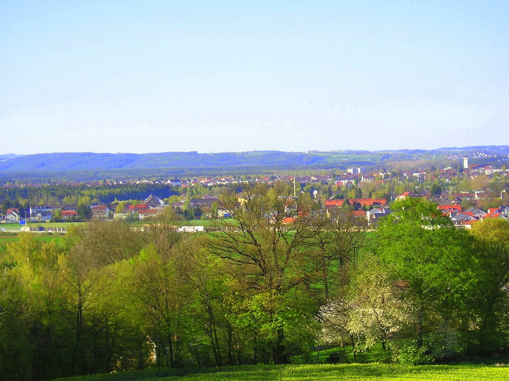 Weiden in der Oberpfalz - 4