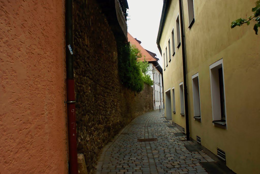 Hinterm Zwinger und Stadtmauer