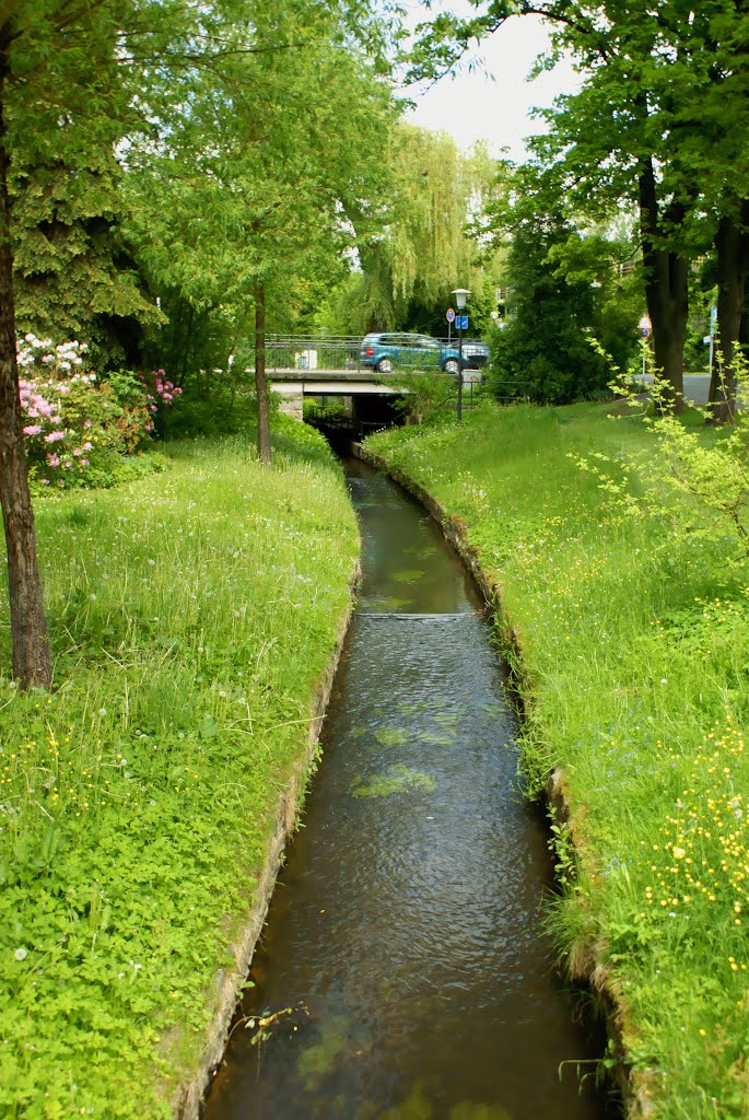 Wasserstraße im Max-Reger Park