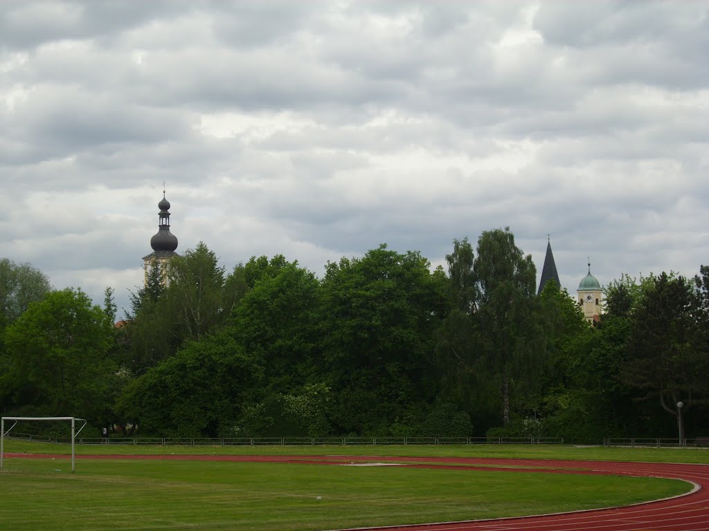 Weiden