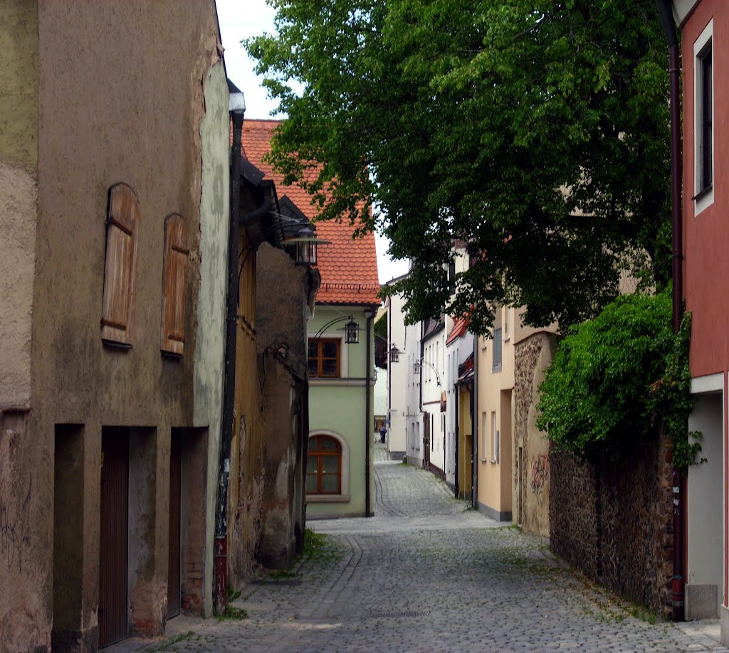 Weiden