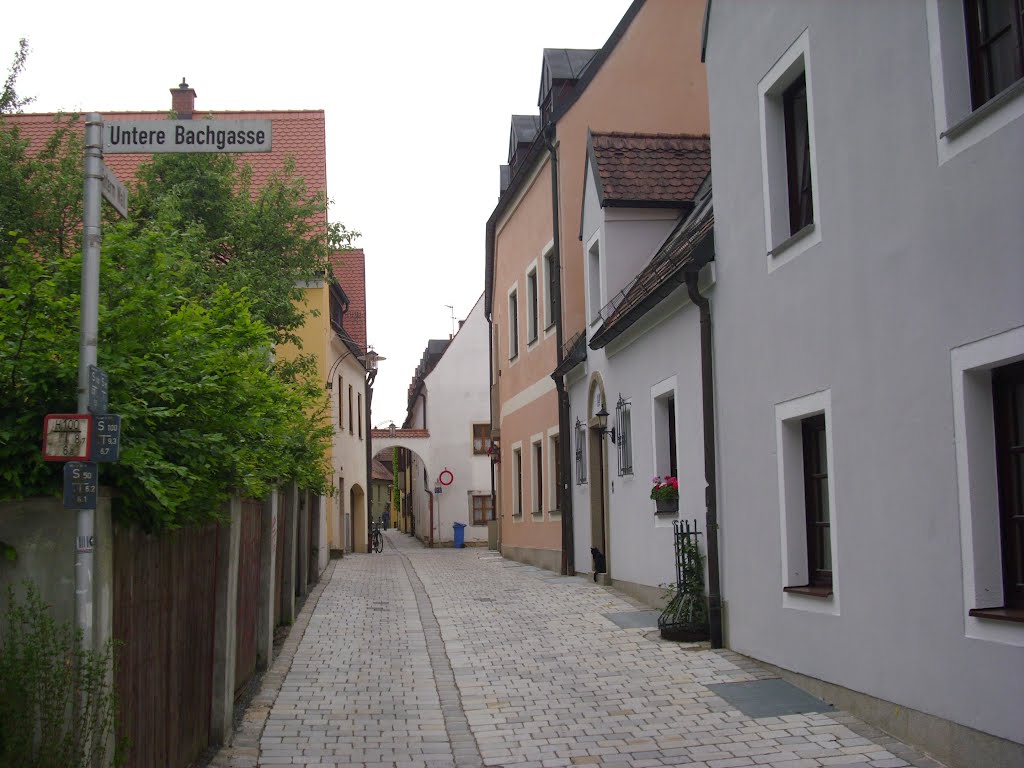 Weiden