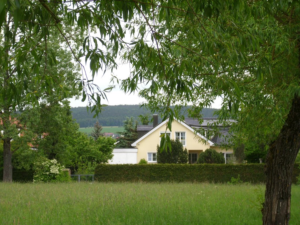 Weiden