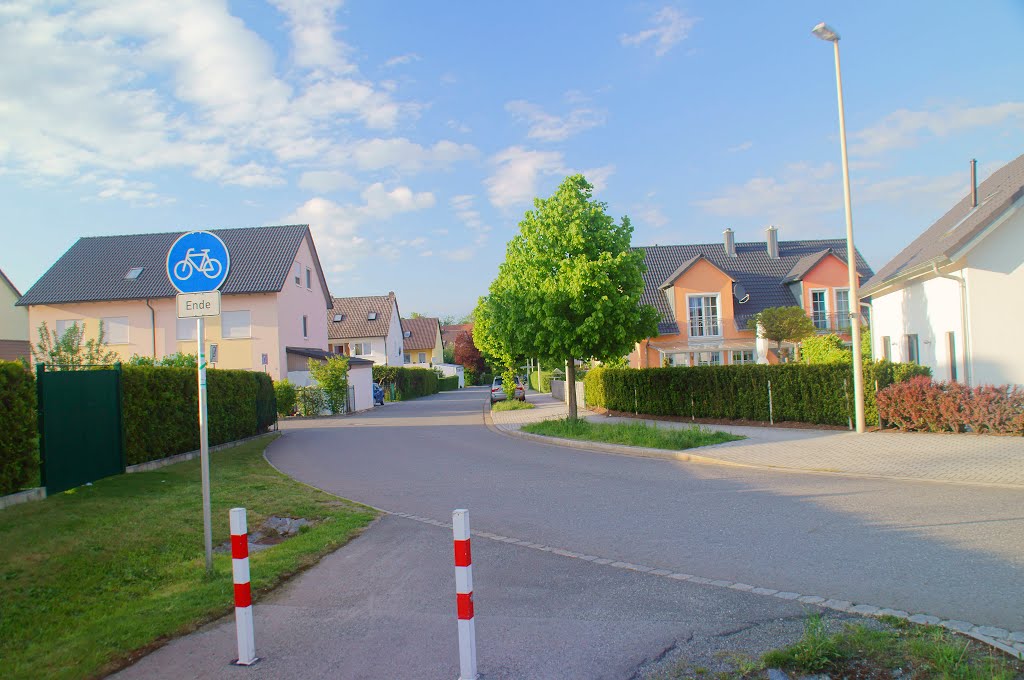 Ende des Weges im Südwesten Weiden.