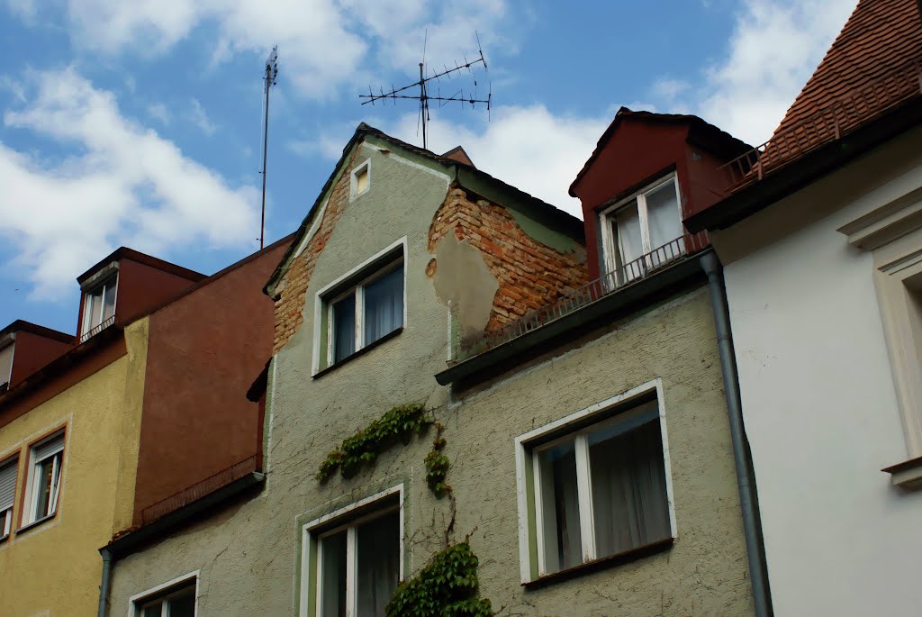 Trausnitz
