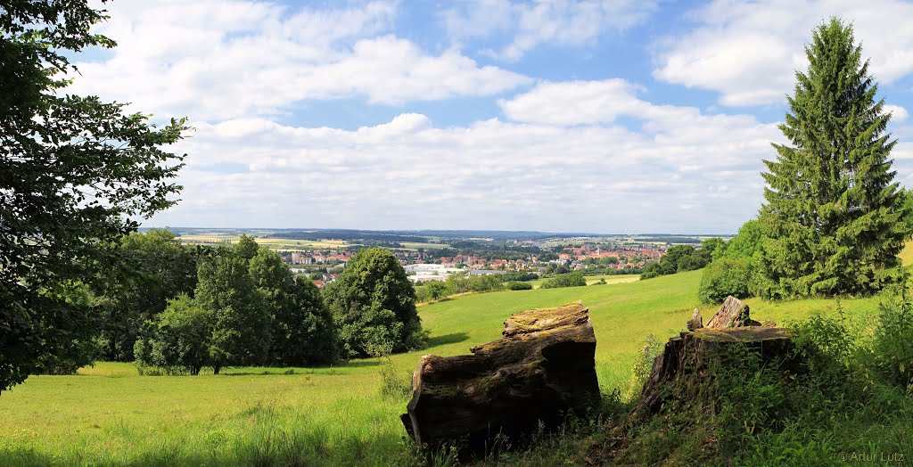 Blick von der Jakobsruhe auf Weißenburg in Bayern