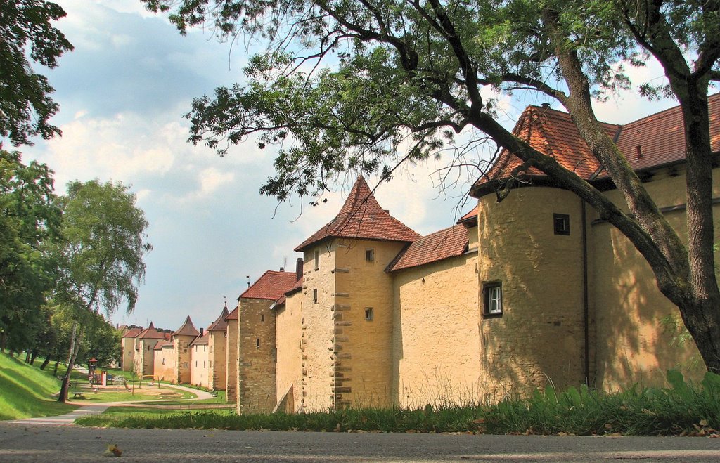 An der Schießgrabenmauer in Weißenburg (1)