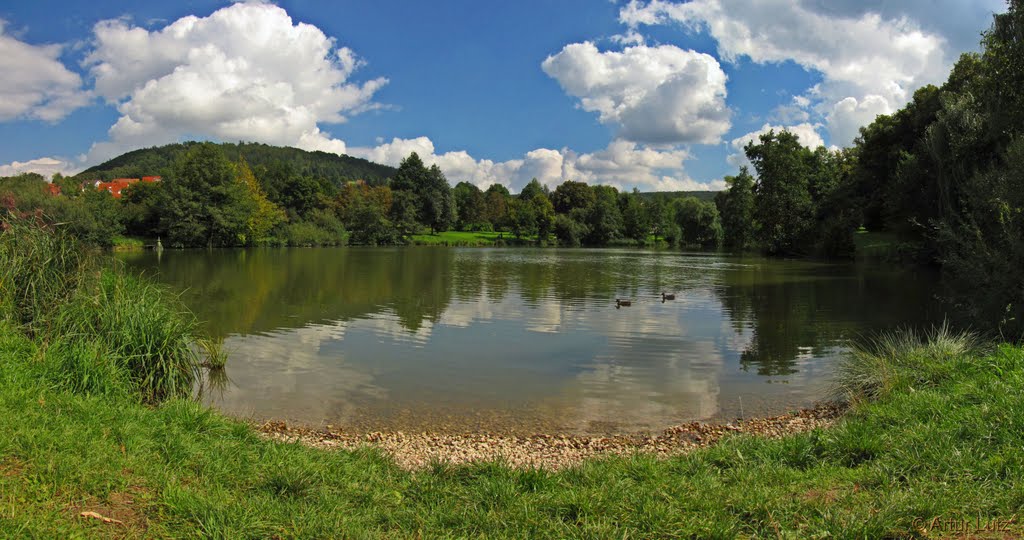 Am zur Fischaufzucht genutzten Aumühlweiher