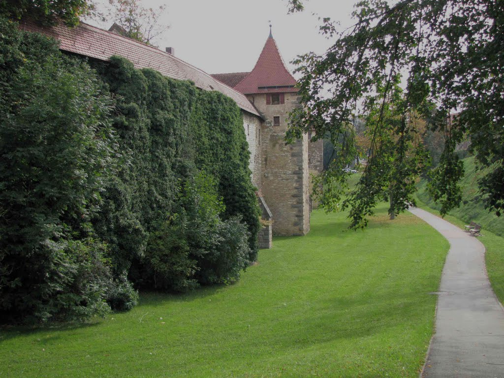 Schanzmauer Südlicher Ringgraben