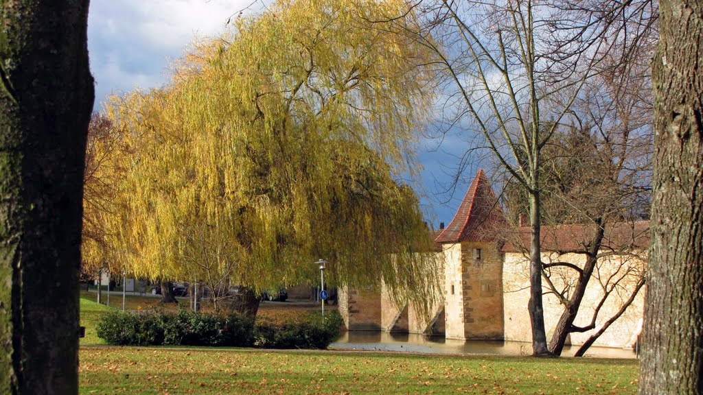 Stadtmauer mit Stadtweiher
