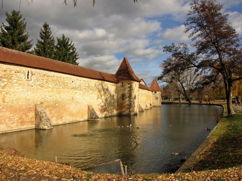 Stadtmauer mit Stadtweiher