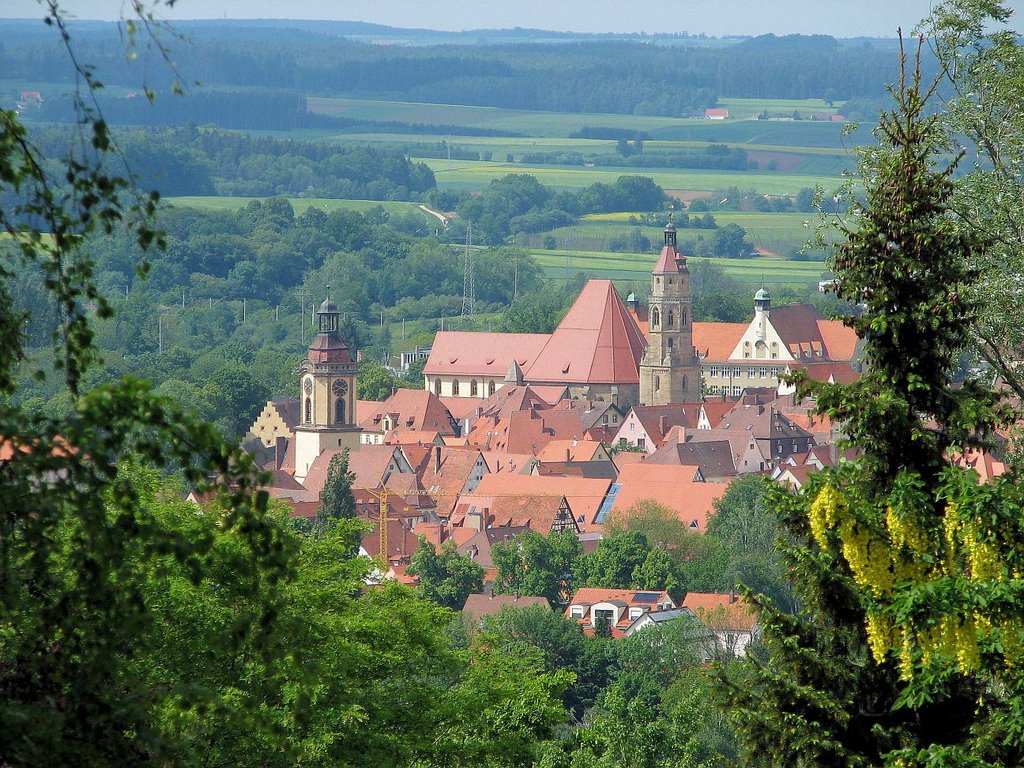 Weißenburg von der Ludwigshöhe