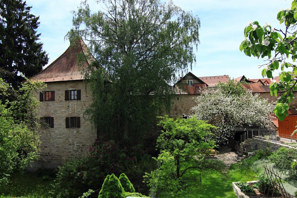 Weißenburg in Bayern -Mai 2012-  D